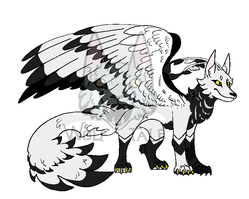 White winged wolf with black wing markings laying down, legs hidden